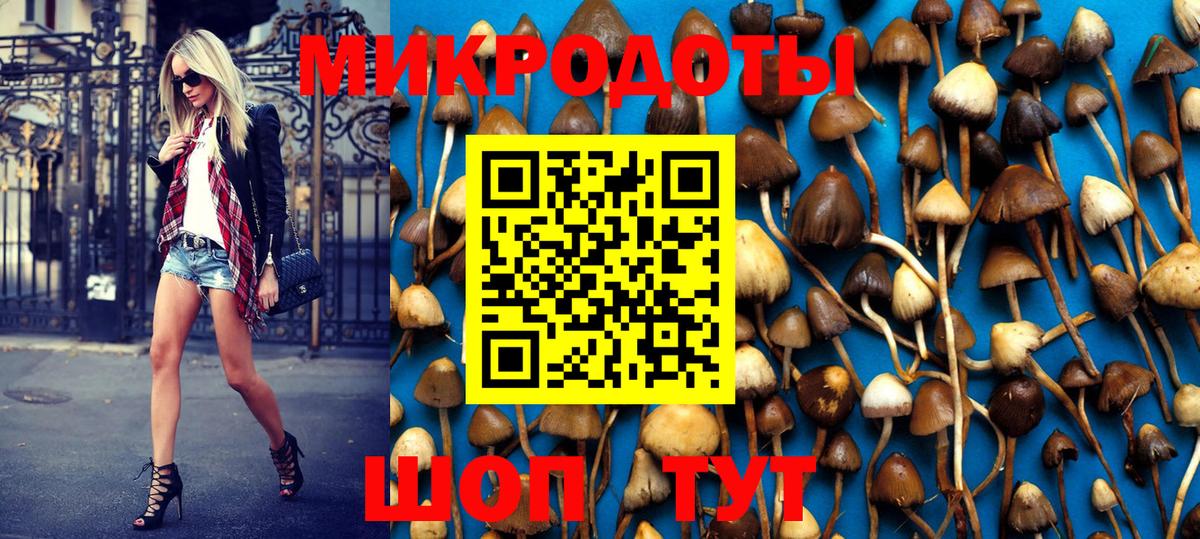 Камышин  Галлюциногенные грибы Magic Shrooms  Вход с VPN 